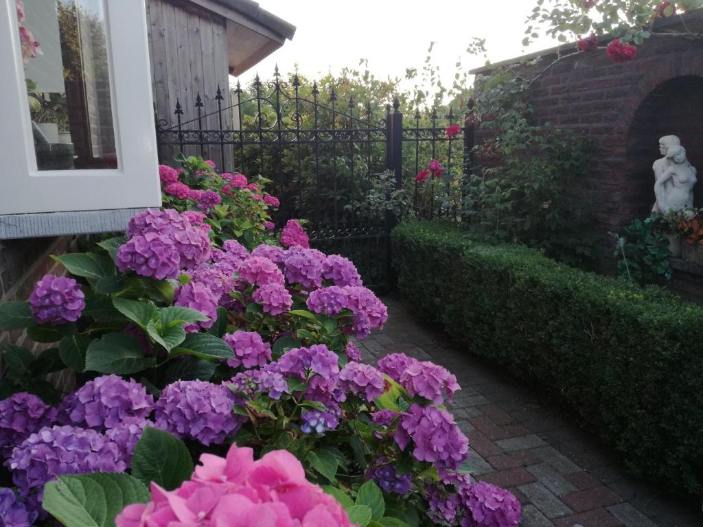 La Rose photo 4