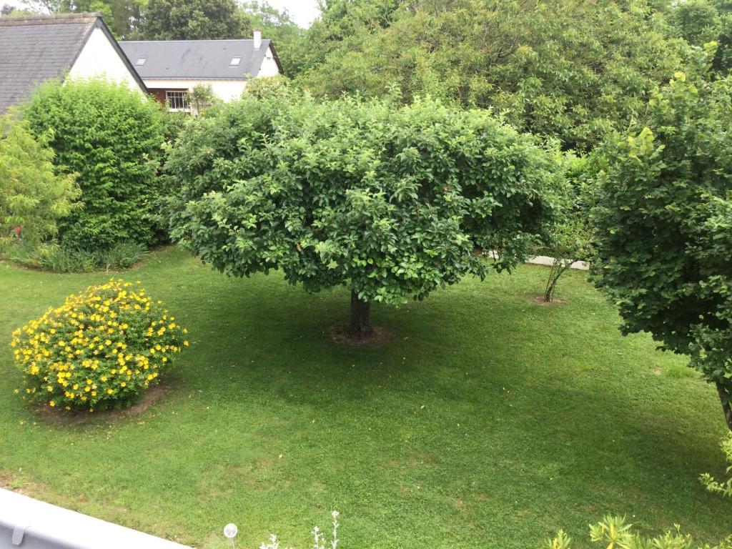 Le Hameau du moulin a vent photo 2