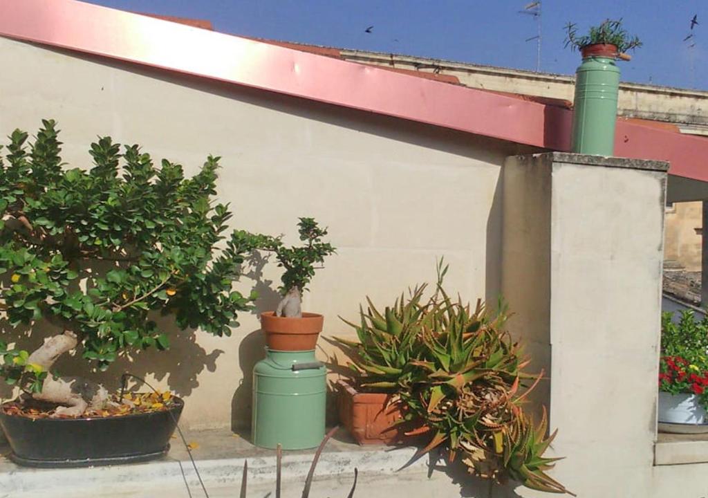 B&B Corte dell' Idume photo 1