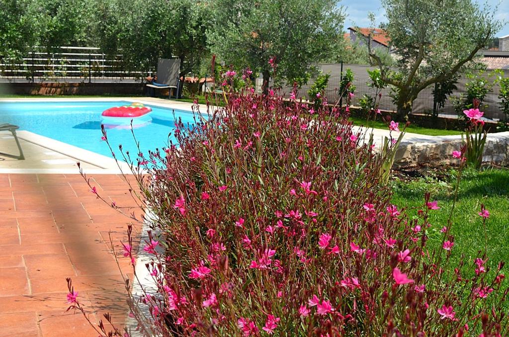 Holiday home Sverko photo 4
