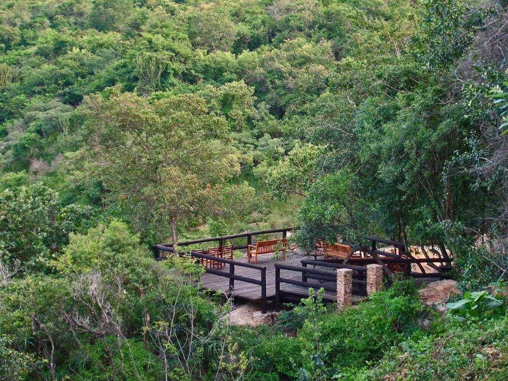 Phophonyane Falls Ecolodge photo 3