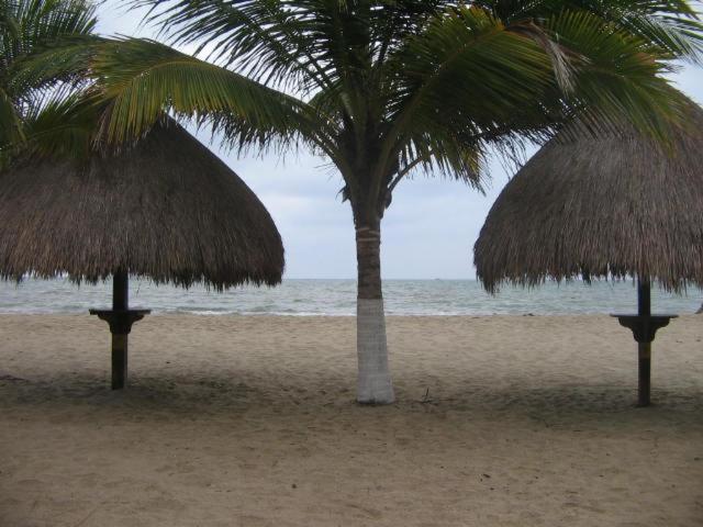 Hostal Roldan photo 4