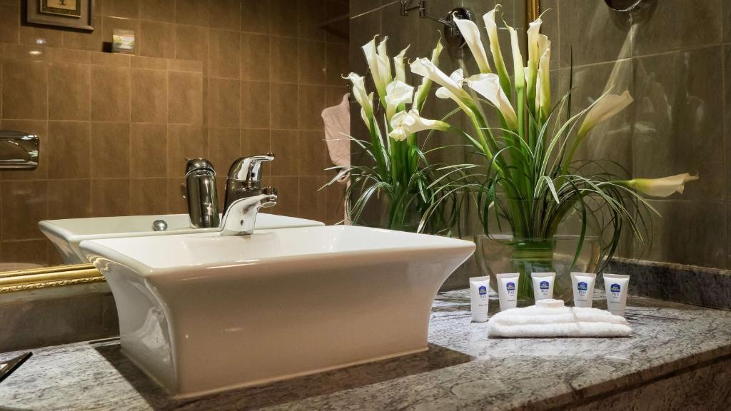 Best Western Plus Doha Room Type - Deluxe King Room