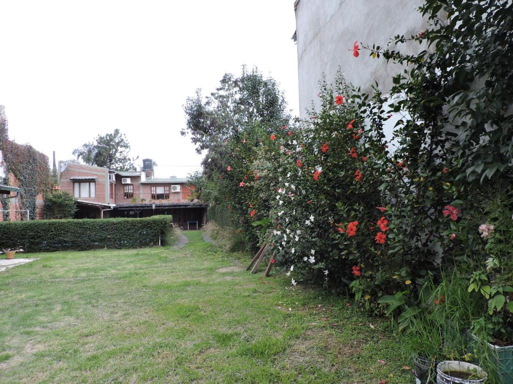 Cerros de Salta photo 3