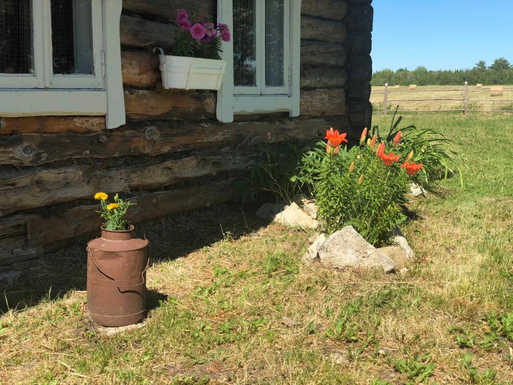 Vahi Holiday Home photo 4