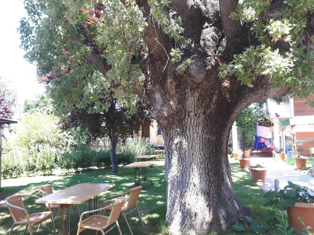Ören Konak Otel photo 4
