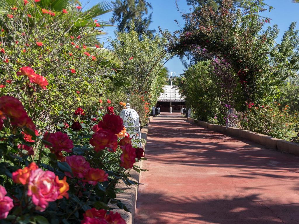 Сьюит (Люкс Nador), Les Jardins D'issil
