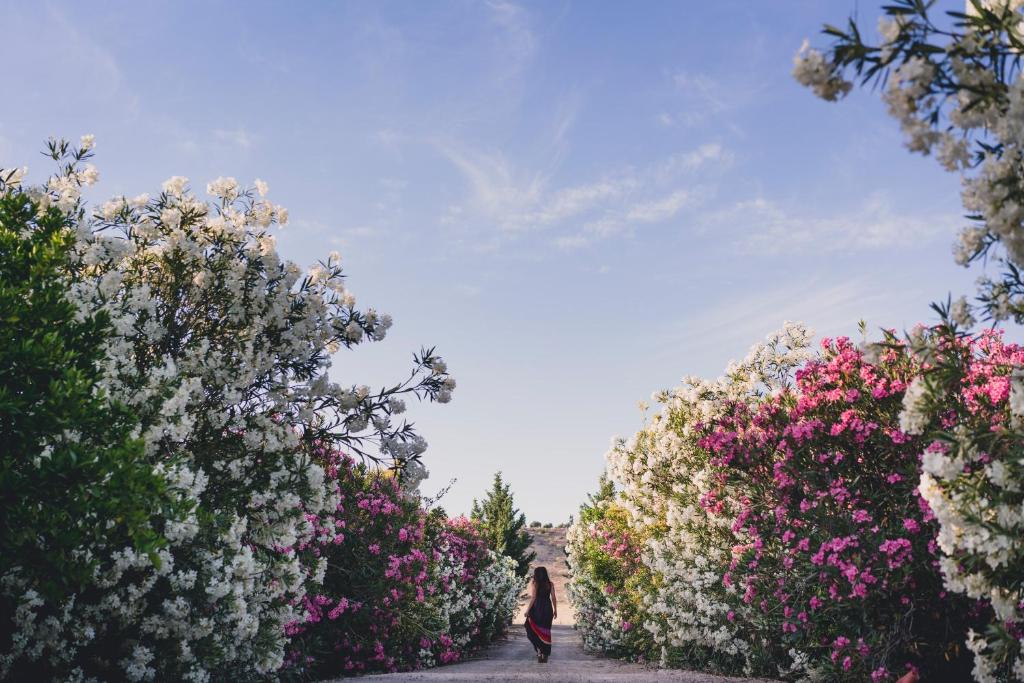 Cortijo Montano photo 1