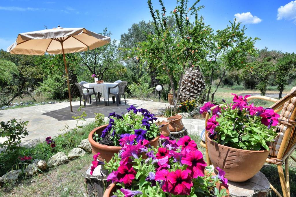 Nature Villa photo 1