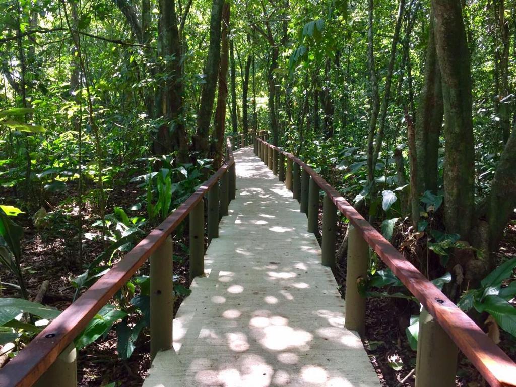 Pachira Lodge photo 3