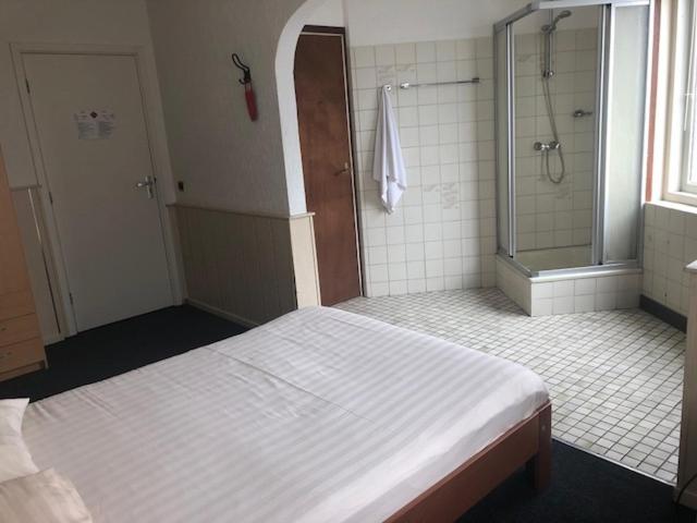 Двухместный (Бюджетный двухместный номер с 1 кроватью), Hotel Royal