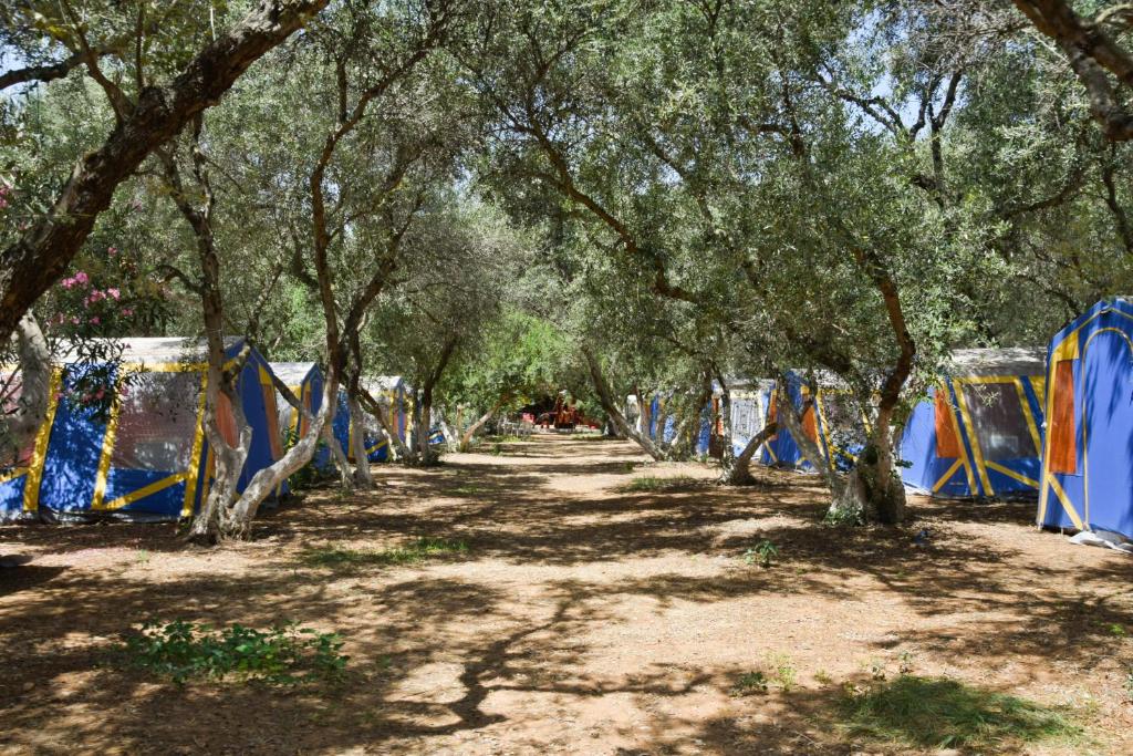 Camping Chania photo 3