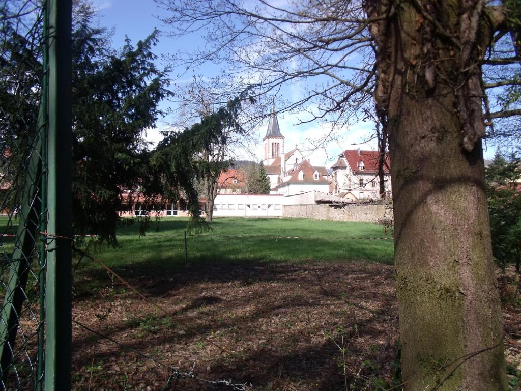l'ecureuil photo 3