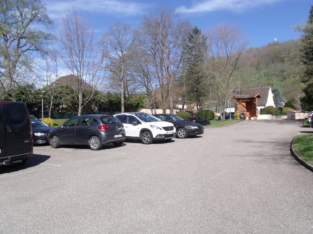 l'ecureuil photo 2