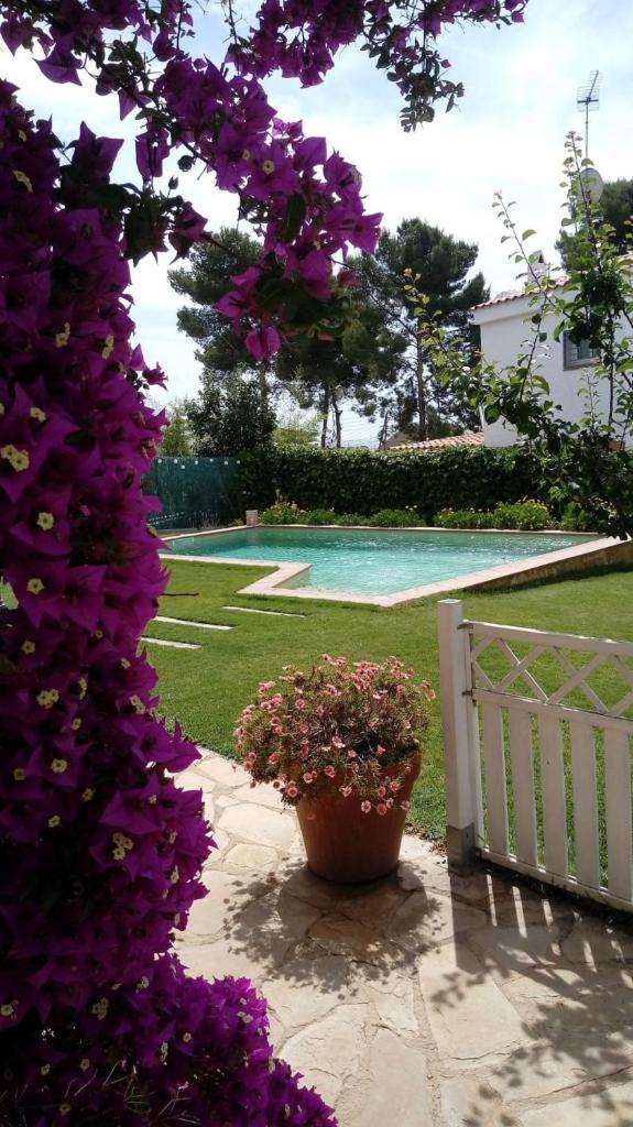 Sunny Holiday Home photo 4