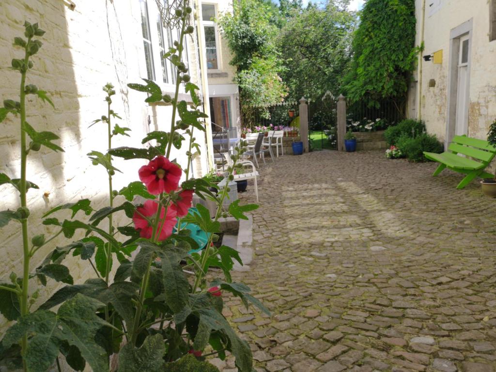 Aux Herbes Folles photo 1