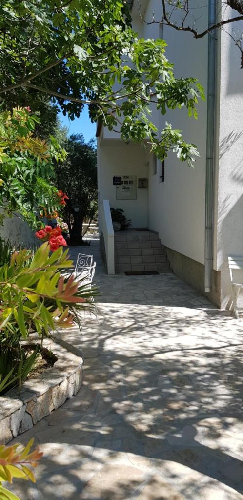 Apartments Padovan photo 4