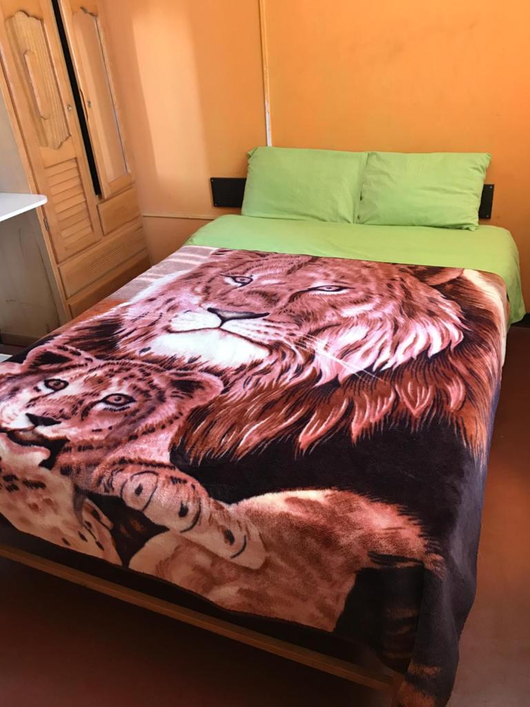 Tour Hostal Wanka photo 4
