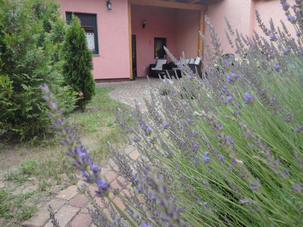 Ferienhaus Krüger photo 1