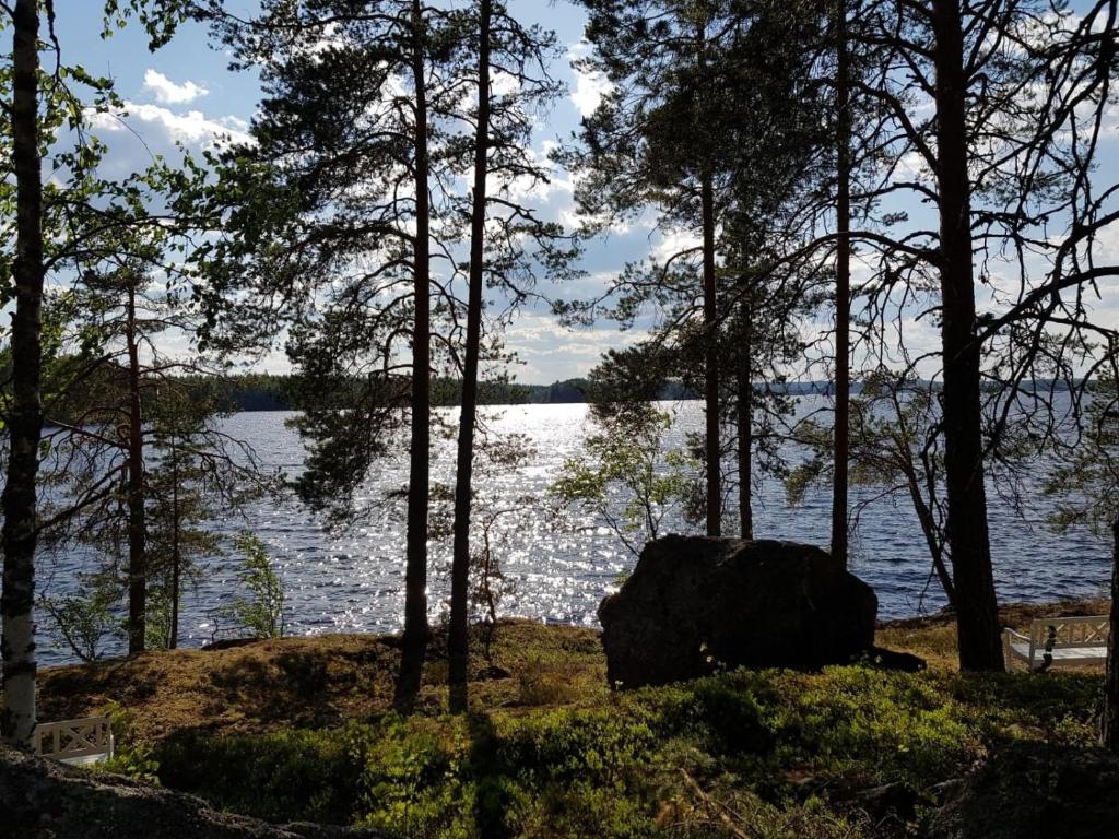 Niemilomat photo 2