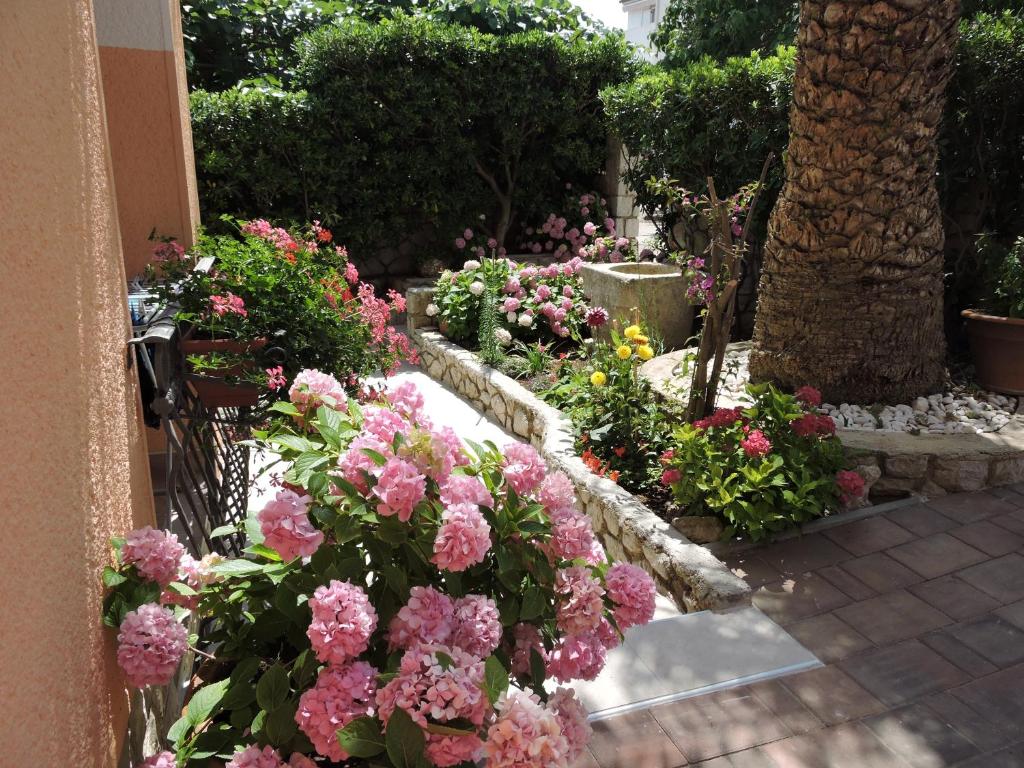 Neda Apartmani photo 1