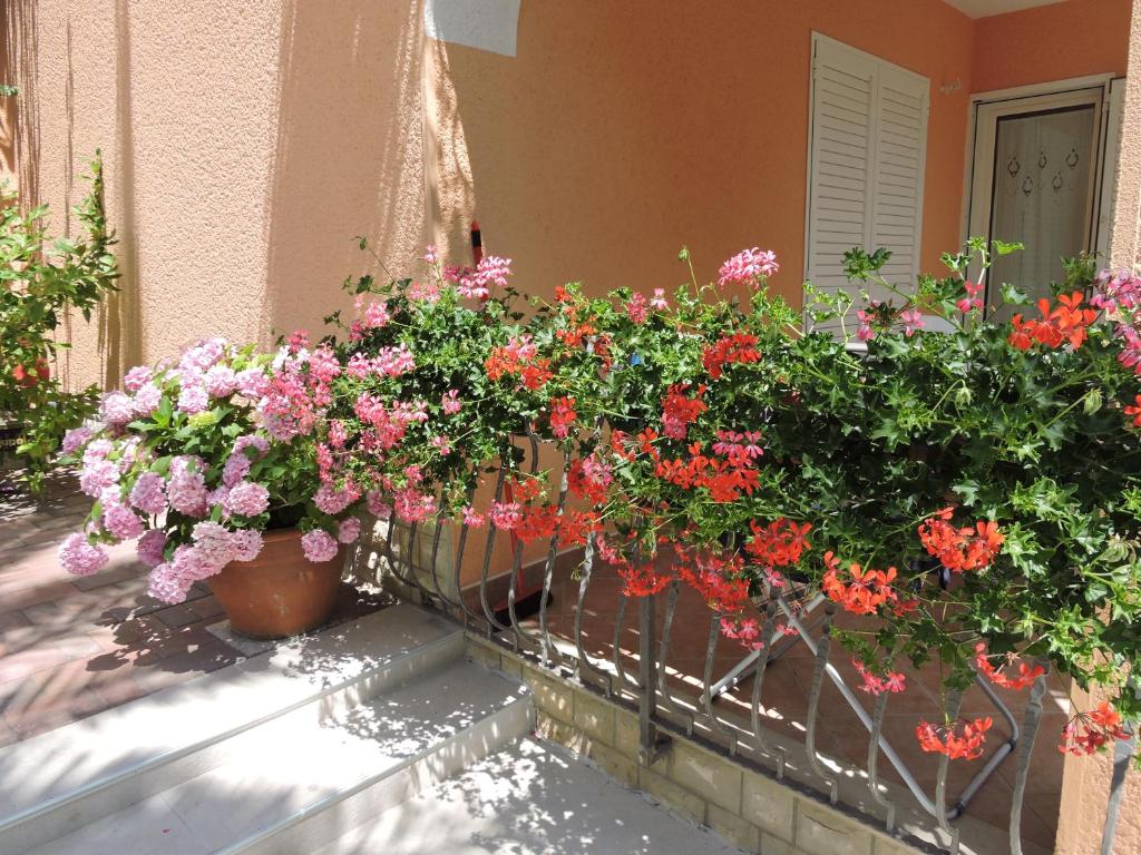 Neda Apartmani photo 2