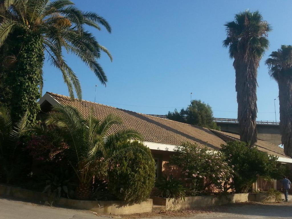 L'Albero photo 3