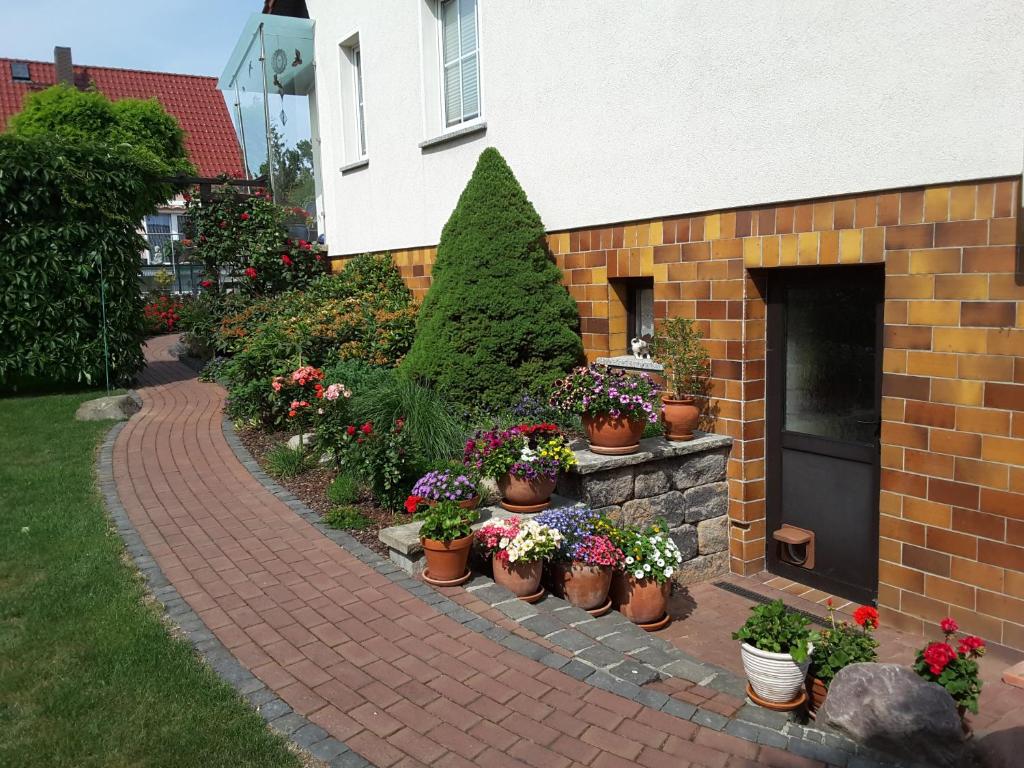 Ferienwohnung Schubert photo 4
