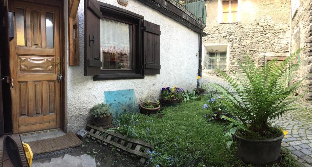 La Belette photo 1