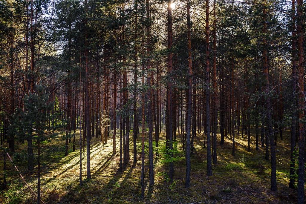 Svečių namai Smalvas photo 1