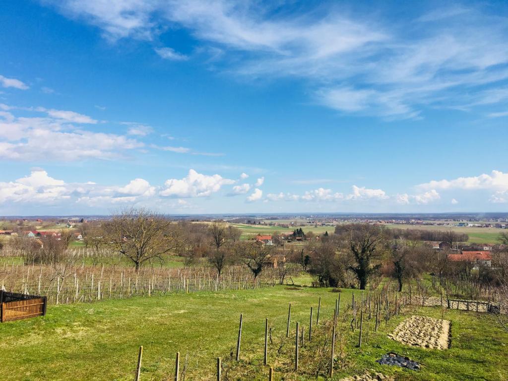 Kuća za odmor Mirna photo 4
