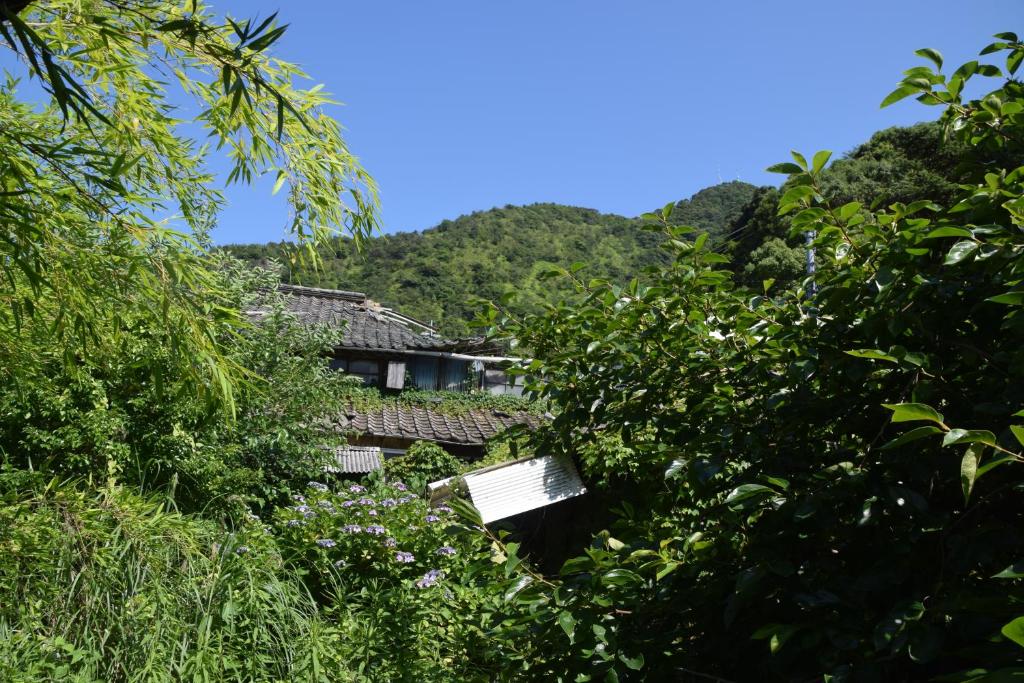 Keramiek Arita photo 3