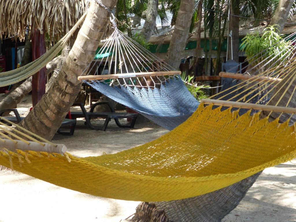 Hotel La Palapa photo 4