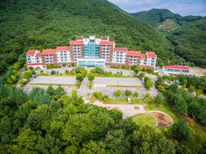 Muju Ilsung Condo photo 3