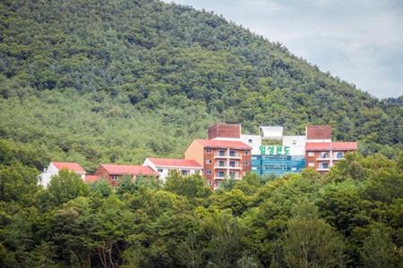 Muju Ilsung Condo photo 1