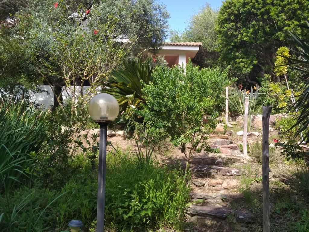 B&B S'Archiotta photo 3