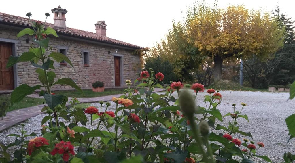 Agriturismo Corte Dei Mori photo 4
