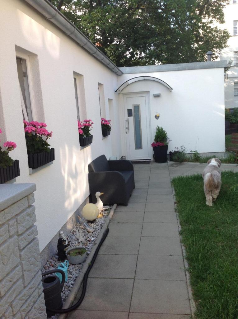 BerLietz photo 2