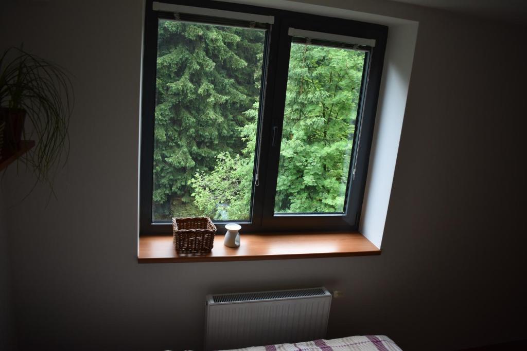 Apartment Mumlava falls photo 3