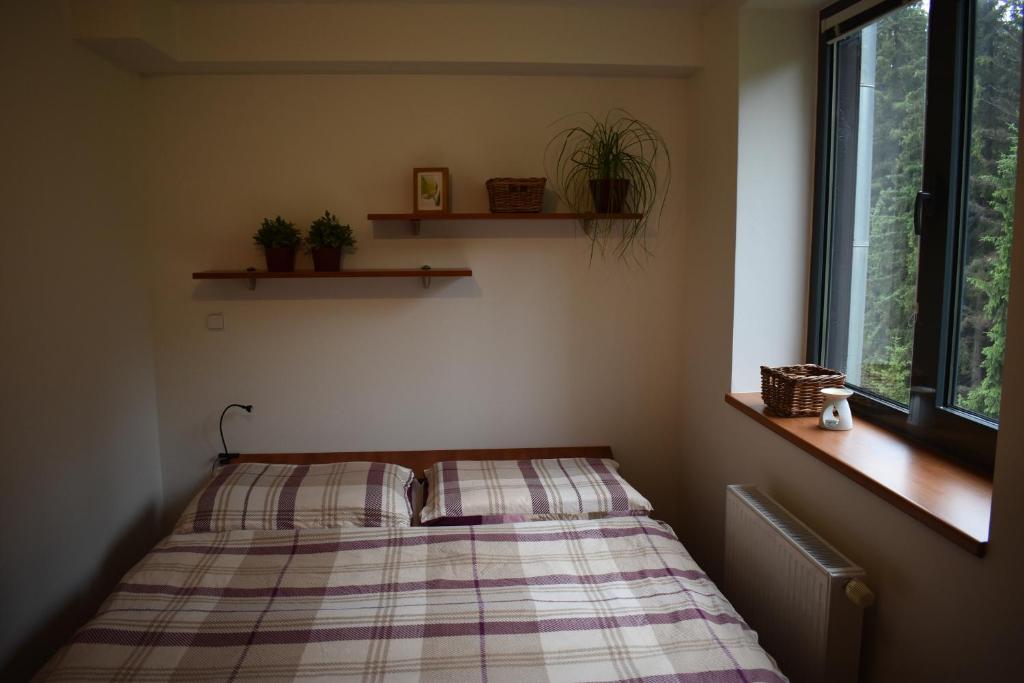 Apartment Mumlava falls photo 2