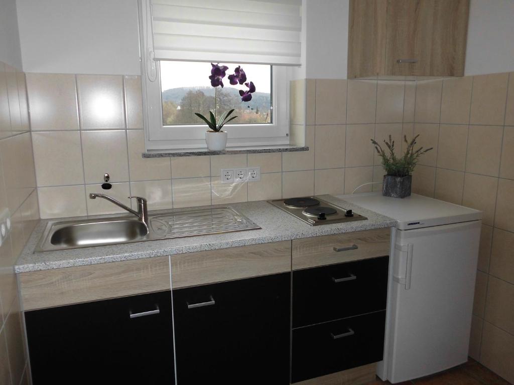 Ferienhaus Kiesel photo 3