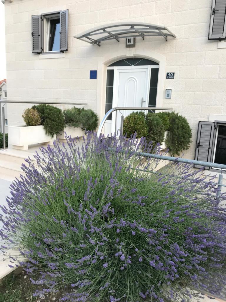 Apartments Lovely Croatia photo 1