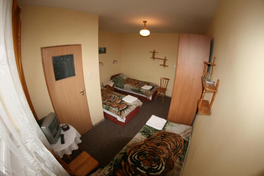 Трехместный (Трехместный номер), Hotel Daisy