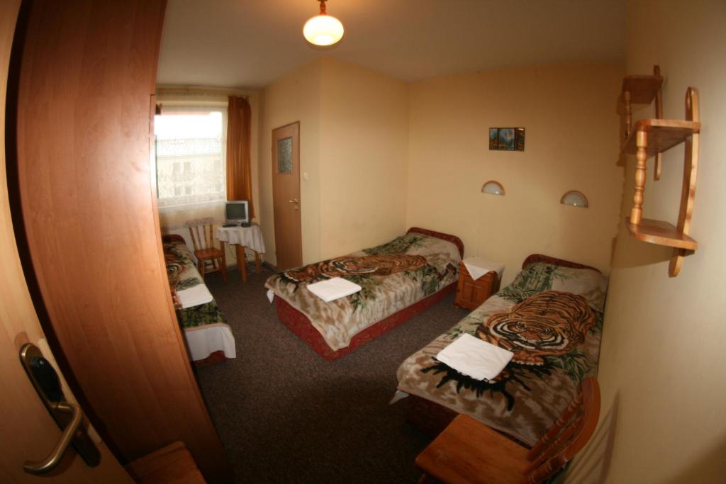 Трехместный (Трехместный номер), Hotel Daisy