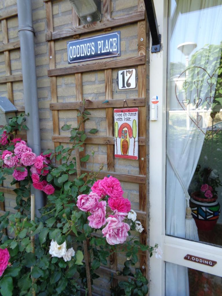 Oddingsplace photo 3