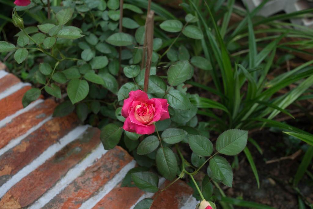 Nam Thi Holiday Home