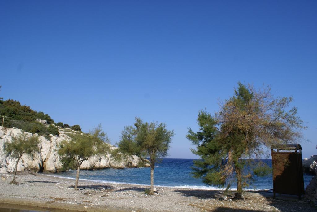 O Ioannis photo 1