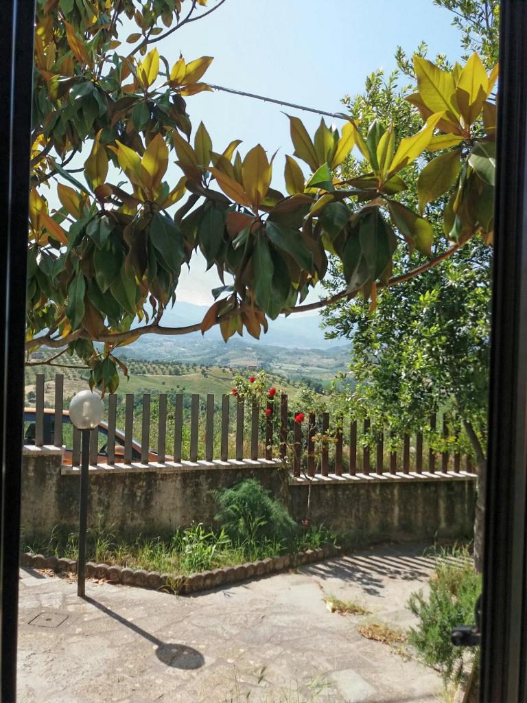 B&B Le Vedute photo 4