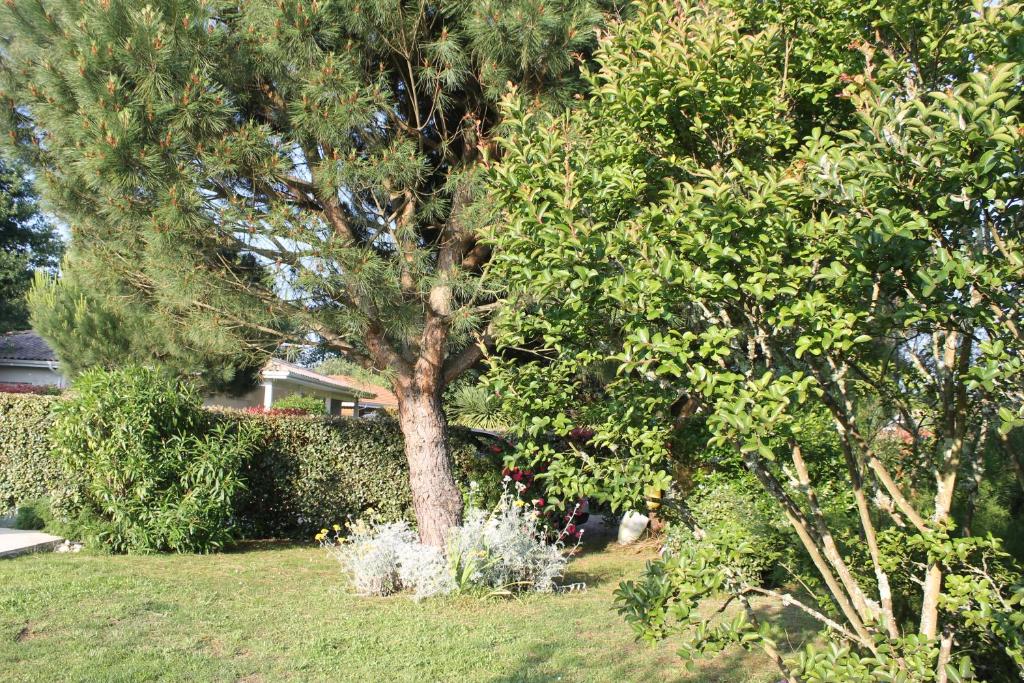 Chez Sophie photo 4