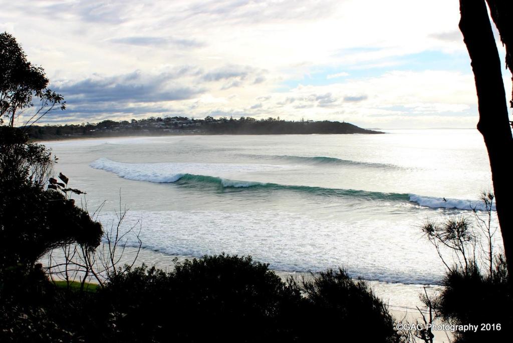 Mollymook Cove Apartments photo 3